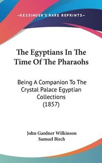 bokomslag The Egyptians In The Time Of The Pharaohs: Being A Companion To The Crystal Palace Egyptian Collections (1857)