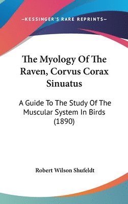 bokomslag The Myology of the Raven, Corvus Corax Sinuatus: A Guide to the Study of the Muscular System in Birds (1890)
