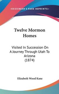 bokomslag Twelve Mormon Homes: Visited In Succession On A Journey Through Utah To Arizona (1874)