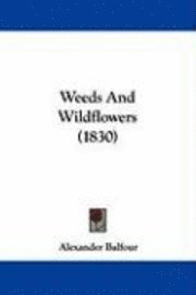 Weeds And Wildflowers (1830) 1