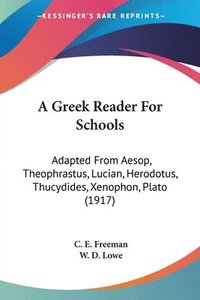 bokomslag A Greek Reader for Schools: Adapted from Aesop, Theophrastus, Lucian, Herodotus, Thucydides, Xenophon, Plato (1917)