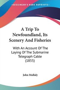 bokomslag Trip To Newfoundland, Its Scenery And Fisheries