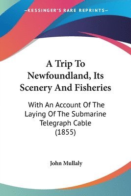 bokomslag Trip To Newfoundland, Its Scenery And Fisheries