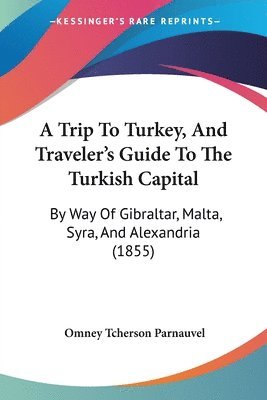 bokomslag Trip To Turkey, And Traveler's Guide To The Turkish Capital