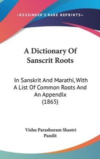 bokomslag Dictionary Of Sanscrit Roots