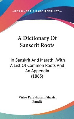 bokomslag Dictionary Of Sanscrit Roots