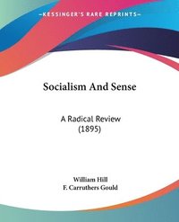 bokomslag Socialism and Sense: A Radical Review (1895)