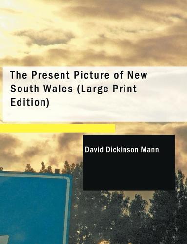 bokomslag Present Picture of New South Wales