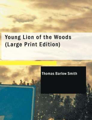 Young Lion of the Woods 1