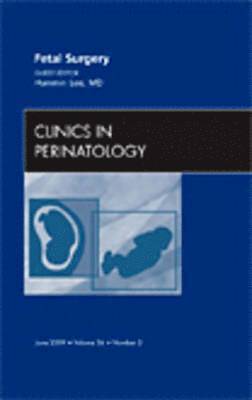 bokomslag Fetal Surgery, An Issue of Clinics in Perinatology