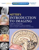 Larry R. Cochard, Lori A Goodhartz, Carla Harmath, Nancy M. Major, Srinivasan Mukundan - Netter's Introduction to Imaging, Häftad