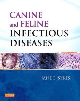 Canine and Feline Infectious Diseases 1