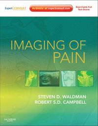 bokomslag Imaging of Pain