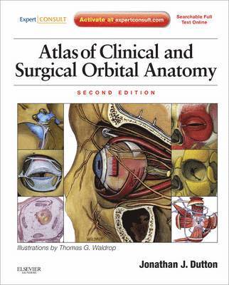 Atlas of Clinical and Surgical Orbital Anatomy 1