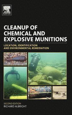 bokomslag Cleanup of Chemical and Explosive Munitions