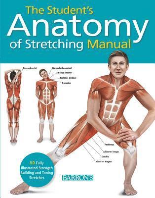 bokomslag Student's Anatomy of Stretching Manual: 50 Fully-Illustrated Strength Building and Toning Stretches