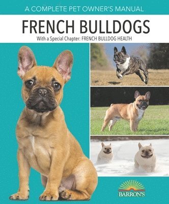bokomslag French Bulldogs