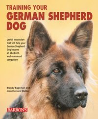 bokomslag Training Your German Shepherd Dog