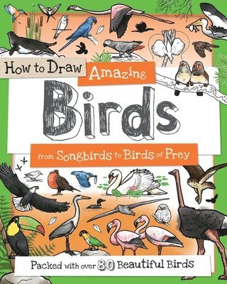 bokomslag How to Draw Amazing Birds