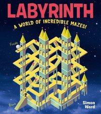 bokomslag Labyrinth: A World of Incredible Mazes!