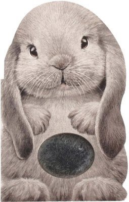 Annie Auerbach - Furry Bunny, Kartonnage