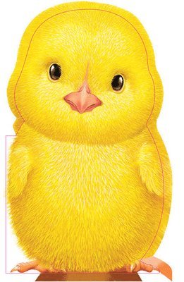 Furry Chick