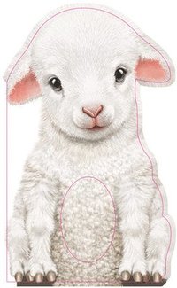 bokomslag Furry Lamb