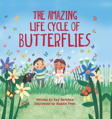 The Amazing Life Cycle of Butterflies 1