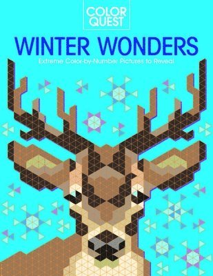 Color Quest: Winter Wonders 1