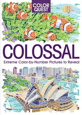 bokomslag Color Quest: Colossal