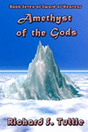 bokomslag Amethyst Of The Gods: Volume 7 Of Sword Of Heavens