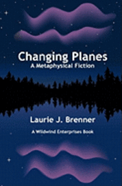 bokomslag Changing Planes