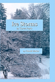 bokomslag Ice Storms