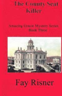 Fay Risner - The County Seat Killer: The Amazing Gracie Series, Häftad