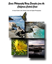 John Crippen - Scenic Photography Using Examples From The California Central Coast: A Visual Guide To The Central Coast And Digital Photography, Häftad