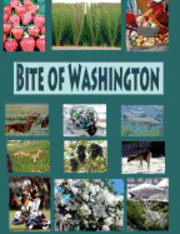 bokomslag Bite Of Washington