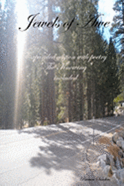Patricia Sanders - Jewels Of Awe: Expanded Edition With Poetry "The Knowing" Included, Häftad. Tillgänglighet: Lägg i varukorg