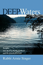 bokomslag Deep Waters: Insights Into The Five Books Of Moses And The Jewish Holidays
