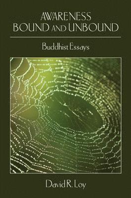 David R. Loy - Awareness Bound and Unbound, Inbunden