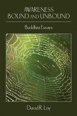 David R. Loy - Awareness Bound and Unbound, Häftad