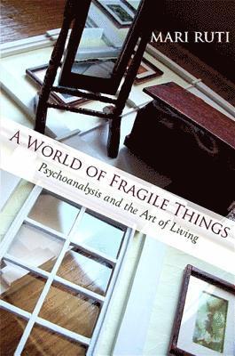 bokomslag A World of Fragile Things