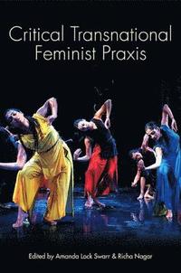 bokomslag Critical Transnational Feminist Praxis