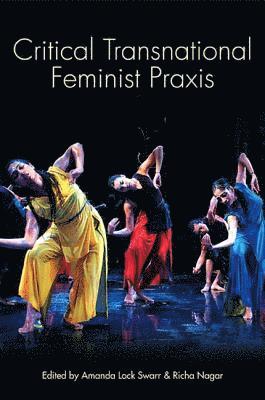 bokomslag Critical Transnational Feminist Praxis