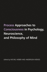 bokomslag Process Approaches to Consciousness in Psychology, Neuroscience, and Philosophy of Mind