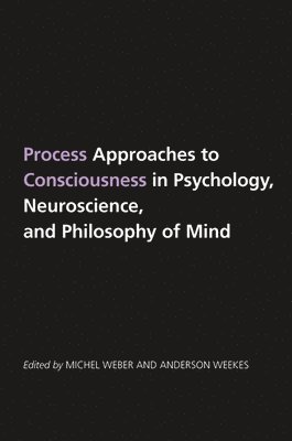 Process Approaches to Consciousness in Psychology, Neuroscience, and Philosophy of Mind 1