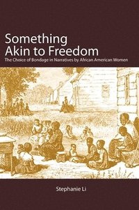 bokomslag Something Akin to Freedom