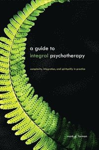 bokomslag A Guide to Integral Psychotherapy
