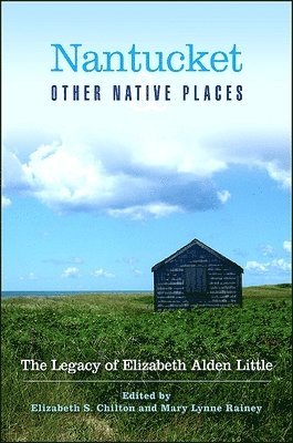 bokomslag Nantucket and Other Native Places