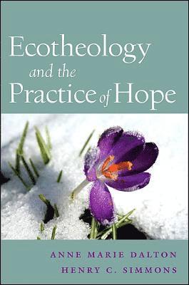 bokomslag Ecotheology and the Practice of Hope