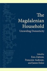 bokomslag The Magdalenian Household